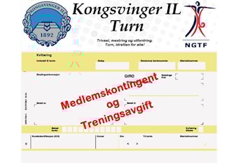 Medlemskontingent og treningsavgift
